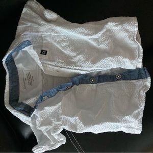 CK 18M button down
